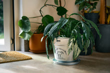 Load image into Gallery viewer, Galvanized bucket 28cm