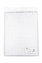Load image into Gallery viewer, Disposable BBQ Net 2937