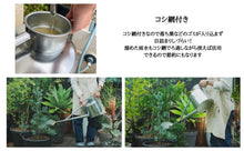 Load image into Gallery viewer, Illustrated Gardening Watering Can 4L Black