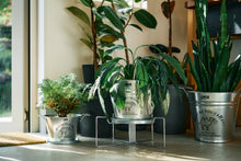 画像をギャラリービューアに読み込む, 2WAYスタンド
