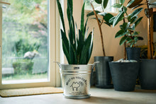 Load image into Gallery viewer, Galvanized pot 30cm
